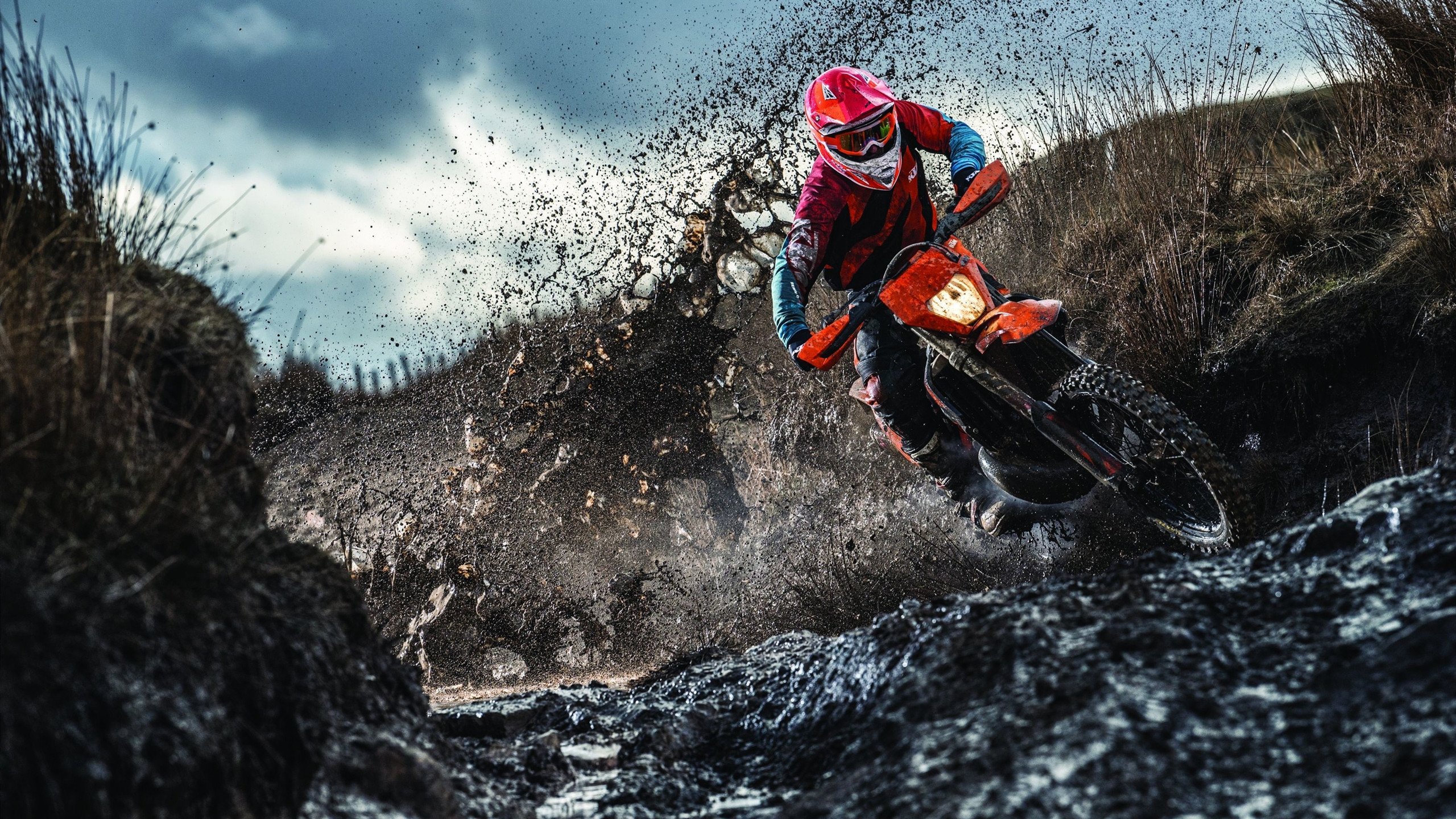 德国队在2024年混合团体世界杯中的坚韧与拼搏，德国队2022年世界杯