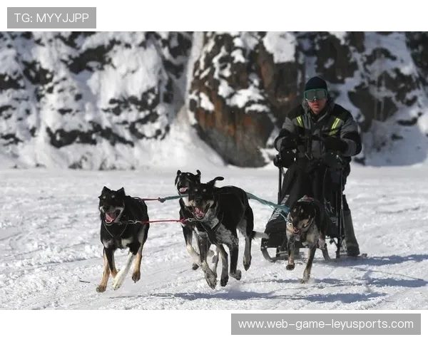 雪橇锦标：俄罗斯队稳居榜首，挑战纪录再升级！，竞技雪橇