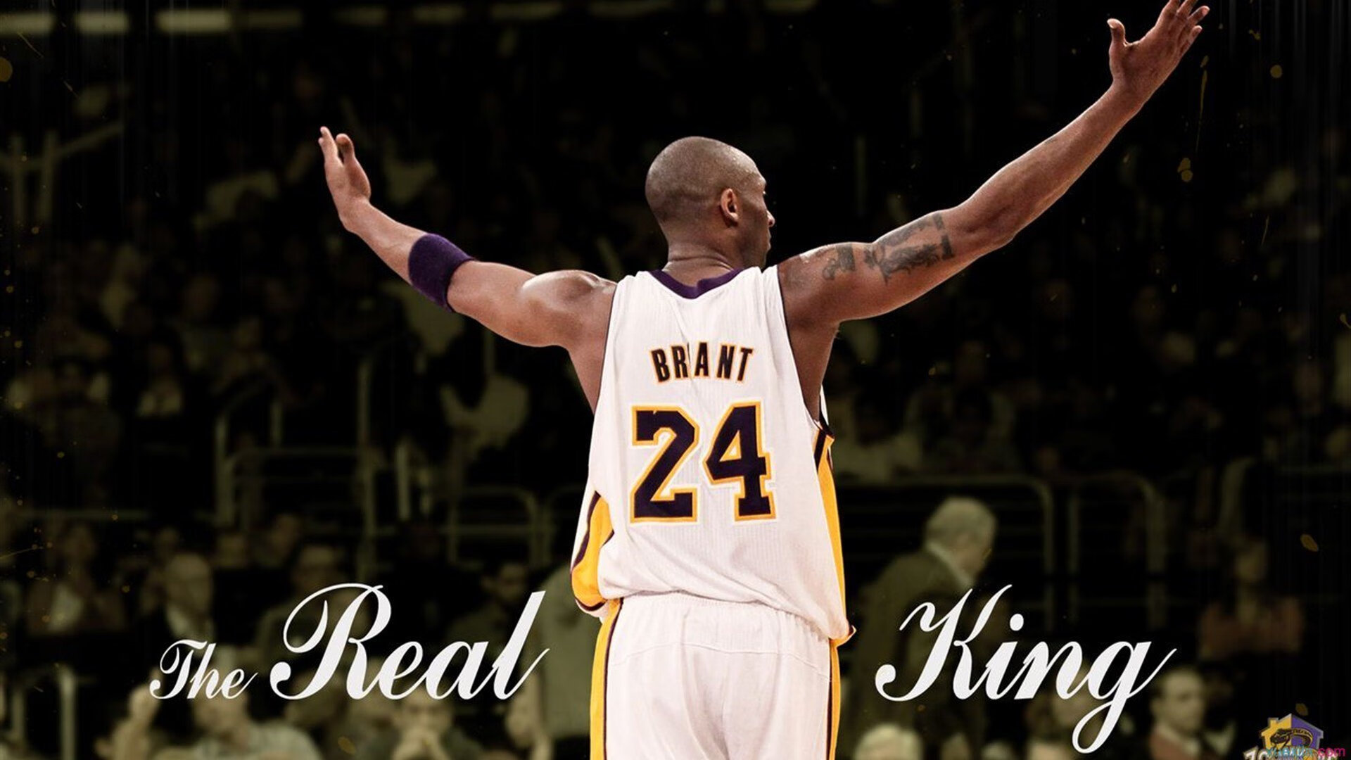 乐鱼中文网站-“新都香城赛场，福乐球选手火力全开！”